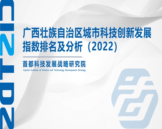 扶她被艹【成果发布】广西壮族自治区城市科技创新发展指数排名及分析（2022）